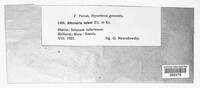 Alternaria solani image